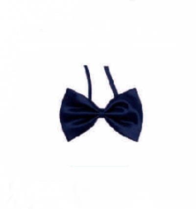 BT019 customized suit bow tie online order formal bow tie manufacturer detail view-2